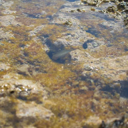 Отель Grotticelle Капо-Ватикано