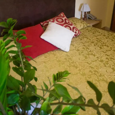 格罗蒂塞尔酒店 梵蒂冈角