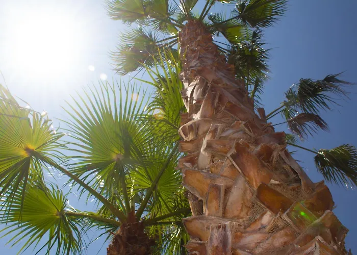 Szálloda Grotticelle