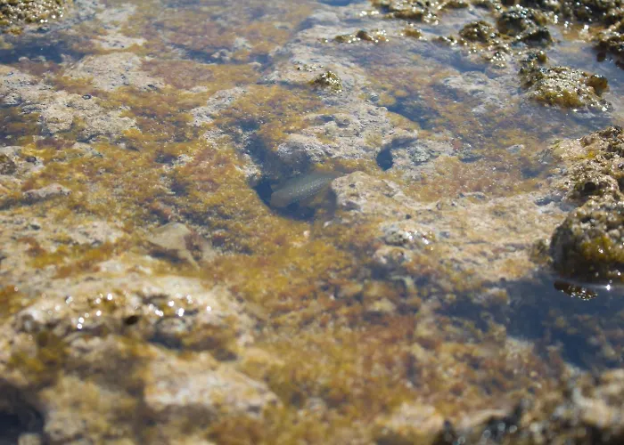 Szálloda Grotticelle Capo Vaticano